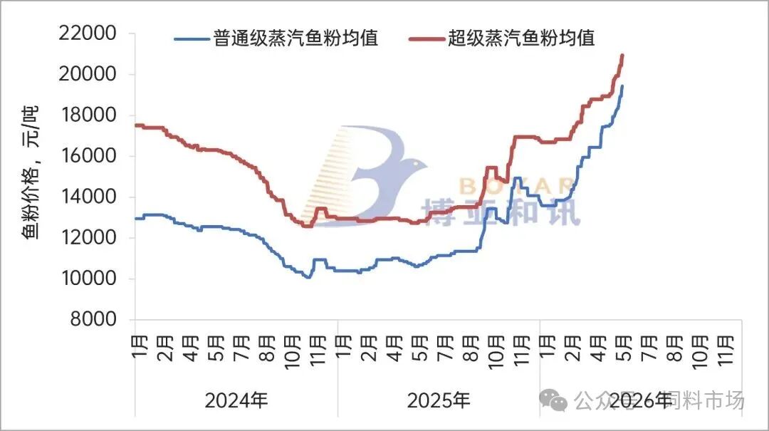 鱼粉价格.jpg