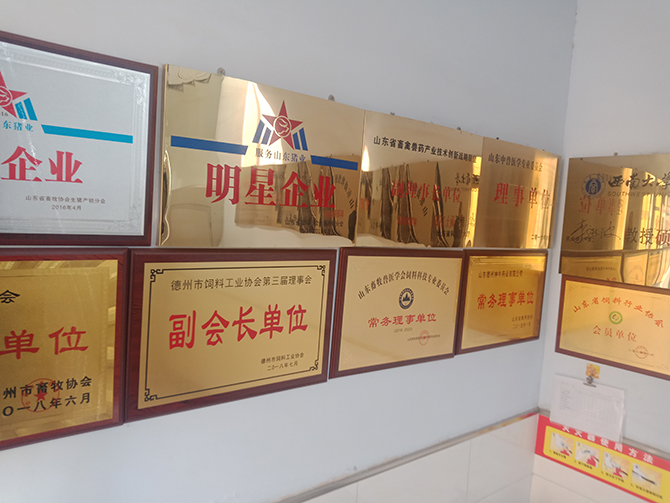 IMG20190302105439.jpg
