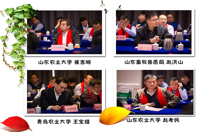 教授1.jpg