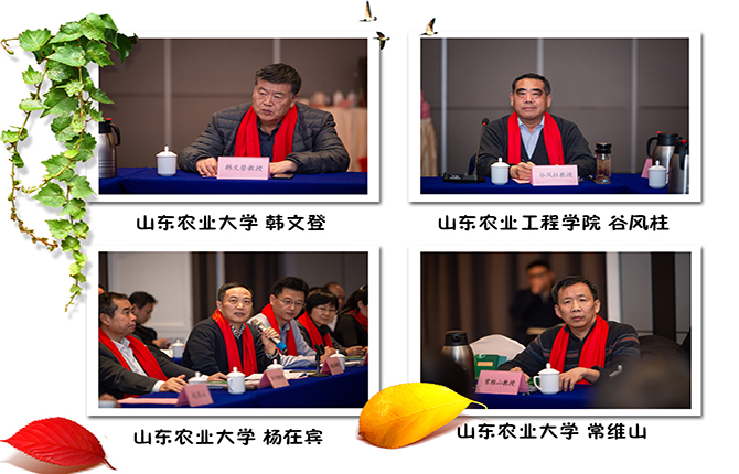 教授2.jpg