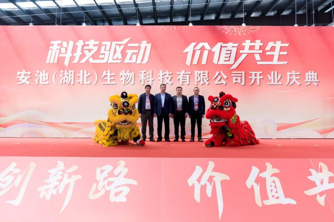 电镜2 - 副本(1).jpg