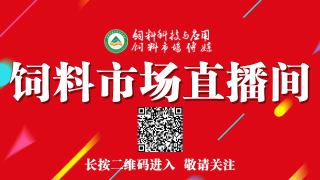 饲料市场直播间.jpg