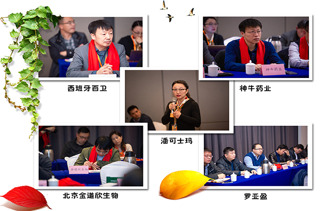 企业 2.jpg