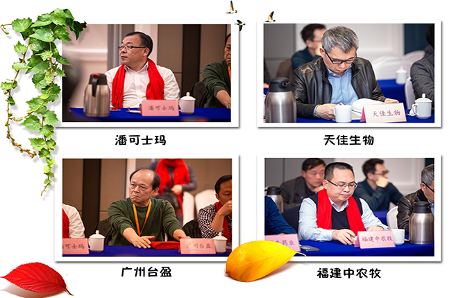 企业 1.jpg