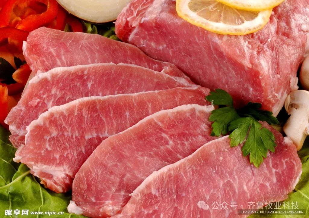 牛肉牛肉卷图片摄影图