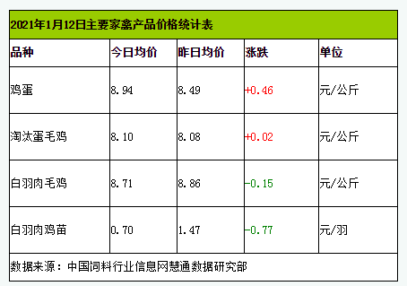 12蛋.png