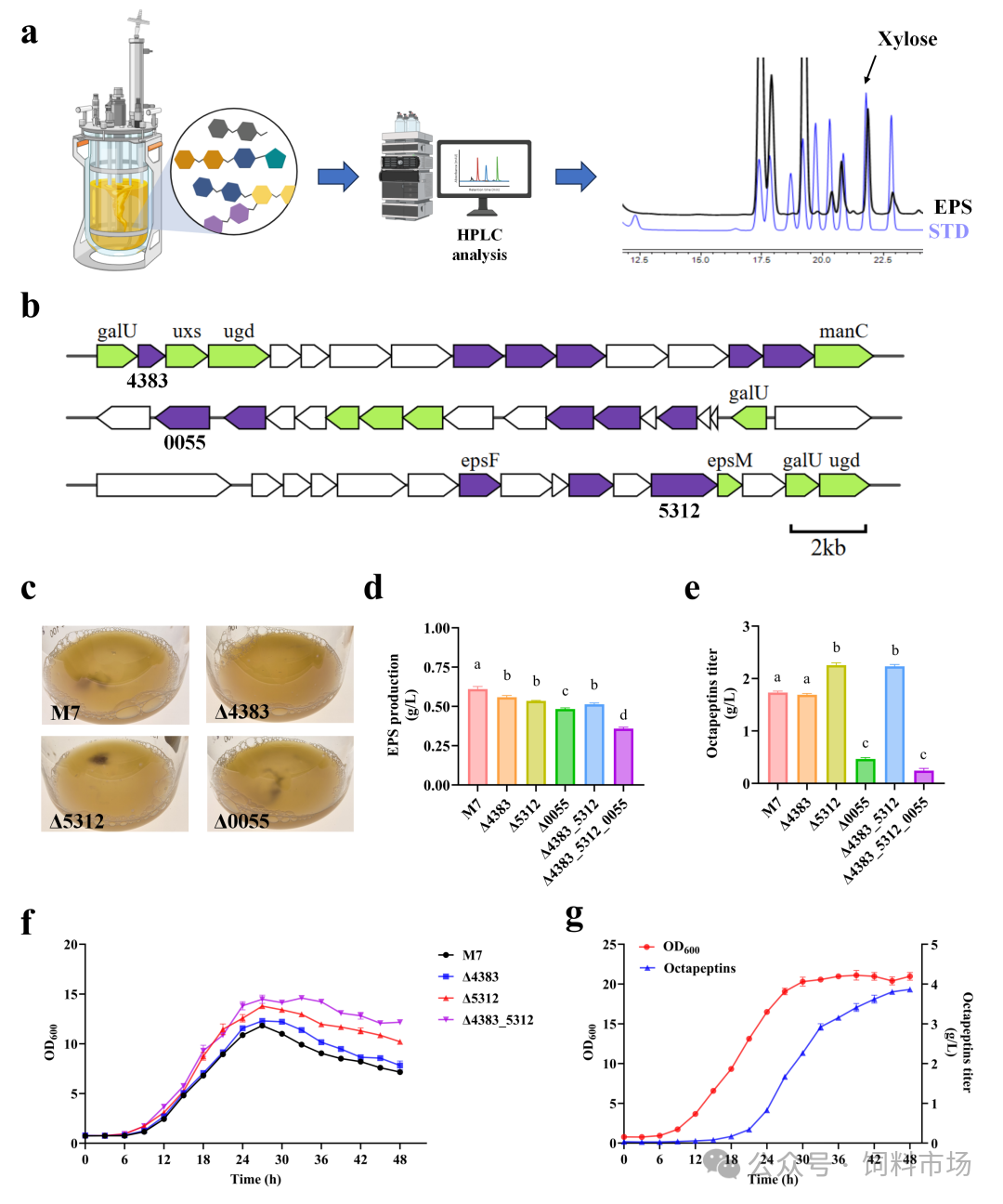 1767575844399059027.png 图片7.png