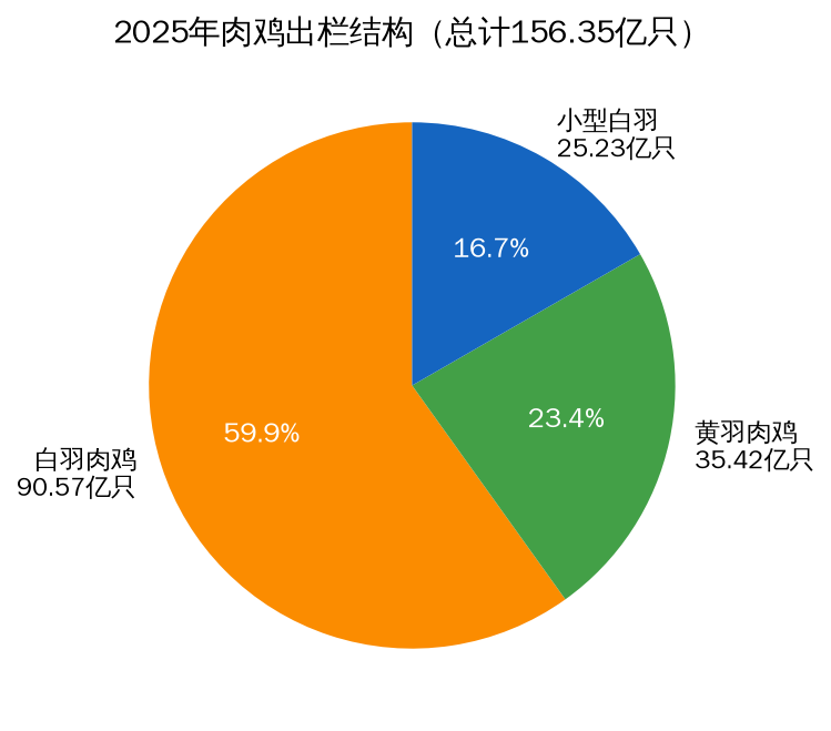 2025年肉鸡出栏结构