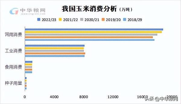 玉米1.jpg