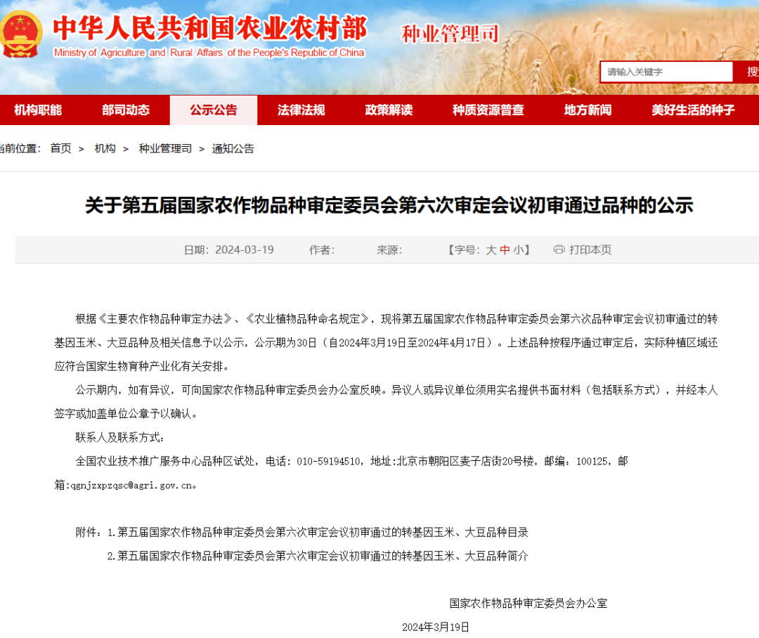 30个转基因玉米大豆品种通过初审涉及大北农隆平高科等多家上市公司